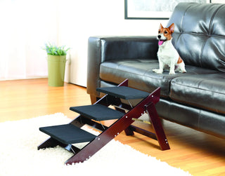 Convertible 2-in-1 Dog Steps & Ramp