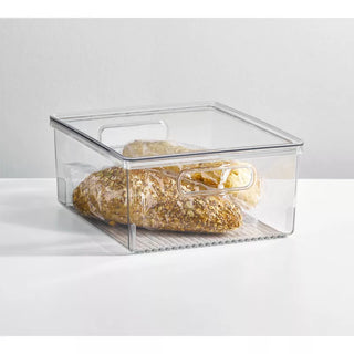 Linus Organizer Bin with Lid (8-Pack) - Clear