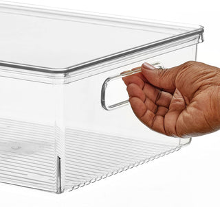 Linus Organizer Bin Storage with Lid & Handles (4-Pack) - Clear