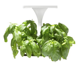 Short Stories LED Planter