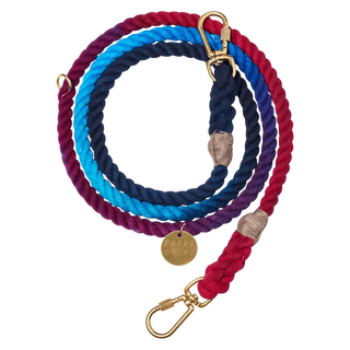 Navy Collar & Multicolor Leash Bundle (Small)