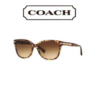 Speckled Tortoise Sunglasses
