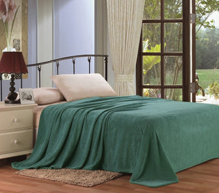Solid Microplush Blanket - Queen - Green