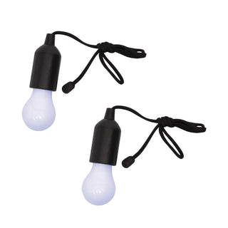 Light Anywhere LED Lightbulb with Pull Cord