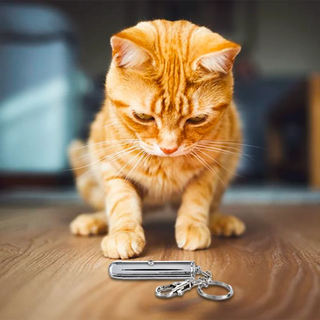 Cat Teaser Toy (2-Pack)