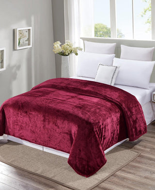 Solid Microplush Blanket - Queen - Burgundy