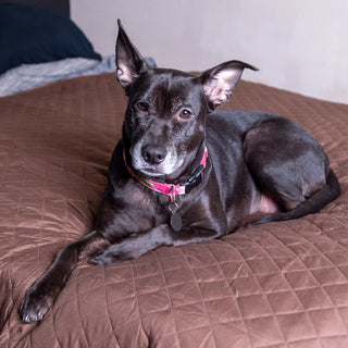 Waterproof Reversible Bed Blanket Protector
