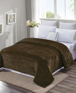 Solid Microplush Blanket - Twin - Chocolate